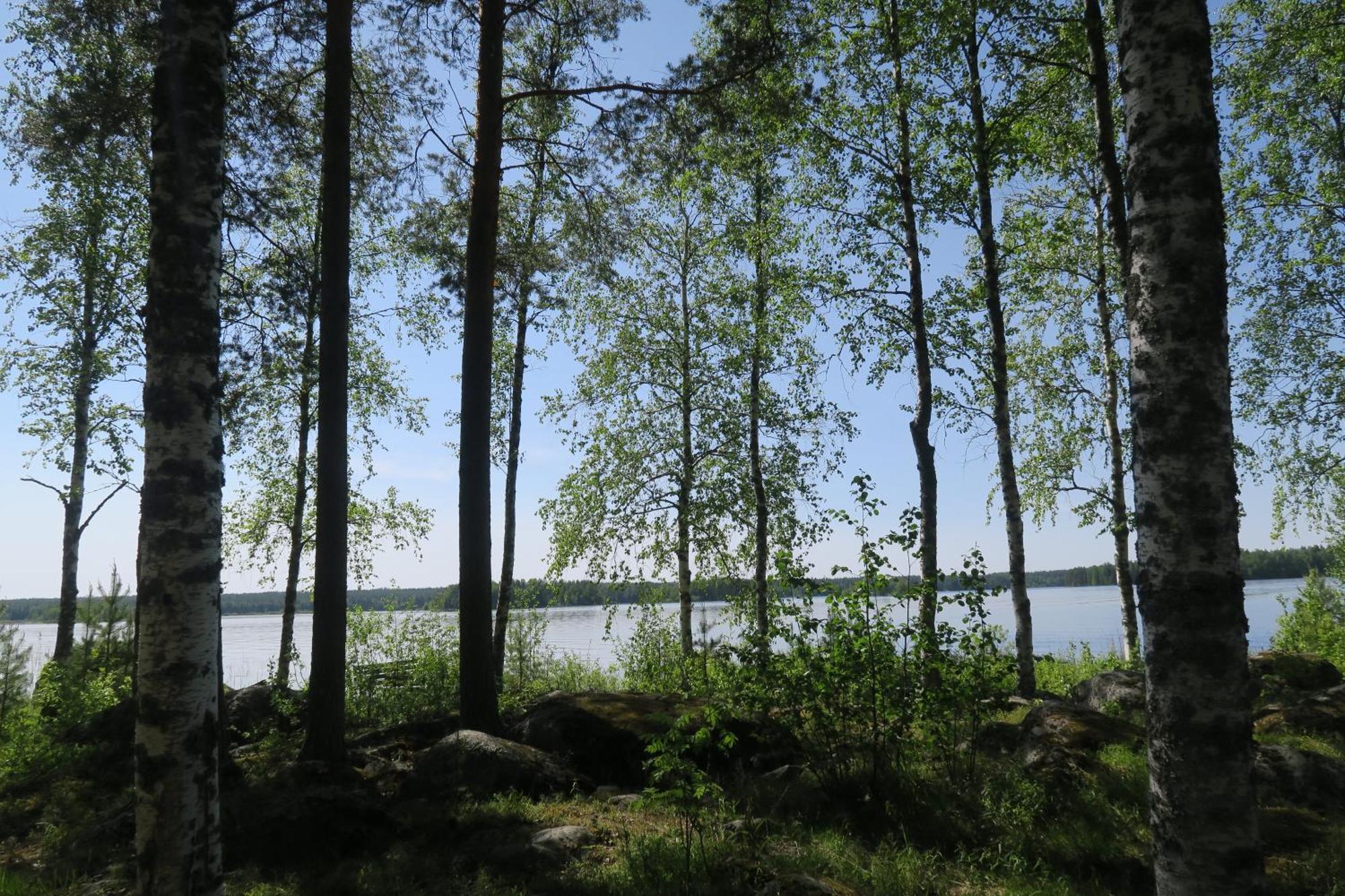 Marjoniemi Camping Hiidenniemi Eksteriør bilde